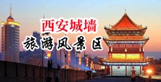 美女大鸡把骚穴乳头自慰网站中国陕西-西安城墙旅游风景区